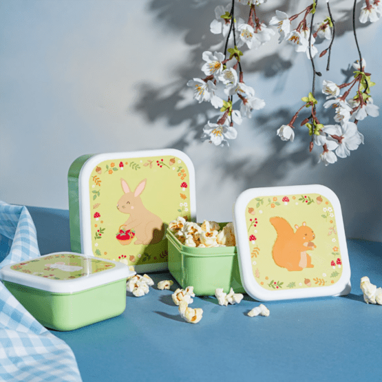 Lot De 3 Boîtes Repas - Animaux Du Jardin - Sass & Belle