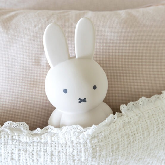 tirelire miffy sable mise en situation face