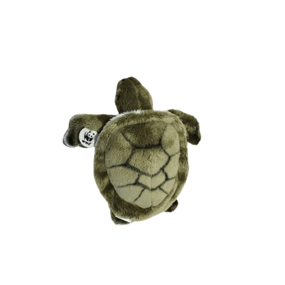 doudou tortue bon ton toys wwf vue de haut sur fond blanc