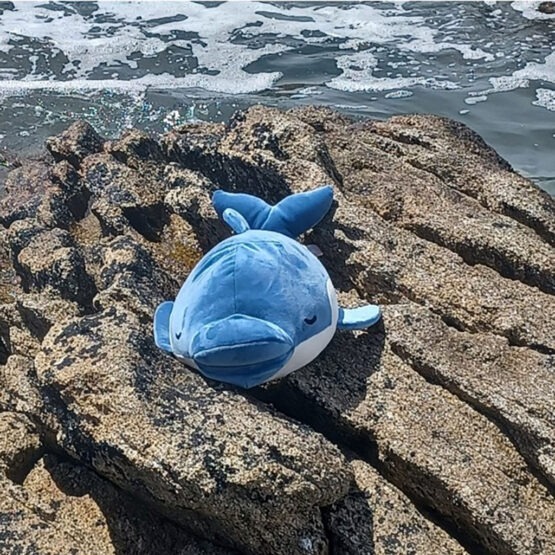 doudou dauphin nemu nemu