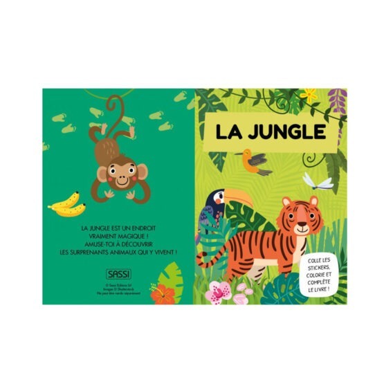 un jeu de 7 familles jungle Sassi, livre d'activité vue de face sur fond blanc