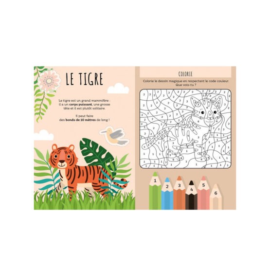 un jeu de 7 familles jungle Sassi, livre d'activité vue de face sur fond blanc