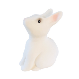 Tirelire - Lapin - Egmont Toys 1